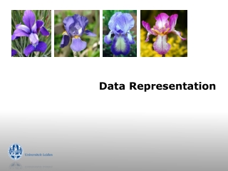 Data Representation