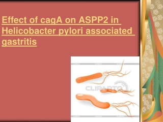 Effect of cagA on ASPP2 in Helicobacter pylori associated gastritis