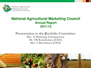 National Agricultural Marketing Council Annual Report  2011/12