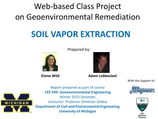 Web-based Class Project on Geoenvironmental Remediation