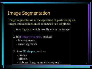 Image Segmentation