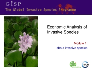 Module 1: about invasive species