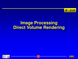 Image Processing Direct Volume Rendering