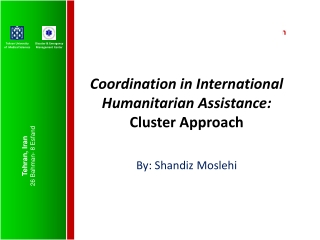 Coordination in International Humanitarian Assistance: Cluster Approach