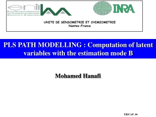 PLS PATH MODELLING : Computation of latent variables with the estimation mode B