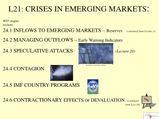 L21: CRISES IN EMERGING MARKETS :