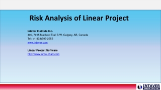 Risk Analysis of Linear Project