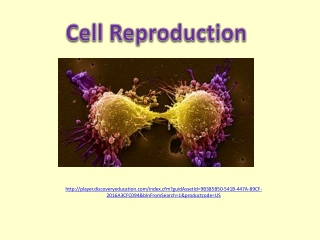 Cell Reproduction