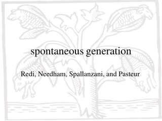 spontaneous generation