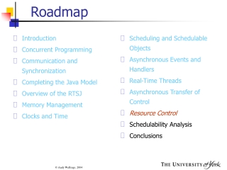 Roadmap