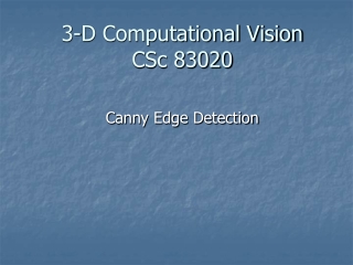 3-D Computational Vision CSc 83020