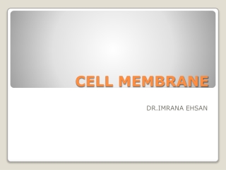 CELL MEMBRANE