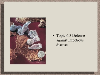 Topic 6.3 Defense against infectious disease