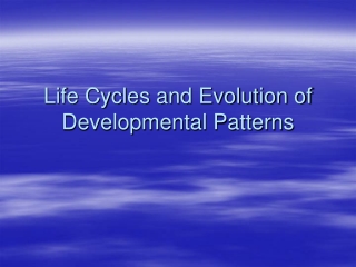 Life Cycles and Evolution of Developmental Patterns