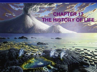 CHAPTER 17  THE HISTORY OF LIFE