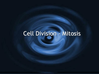 Cell Division - Mitosis