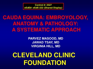 CAUDA EQUINA: EMBROYOLOGY,  ANATOMY &amp; PATHOLOGY:  A SYSTEMATIC APPROACH