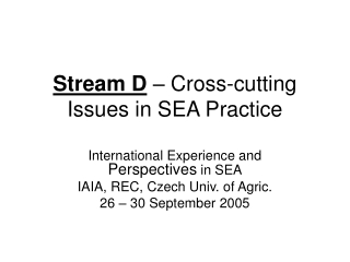 Stream D  – Cross-cutting Issues in SEA Practice