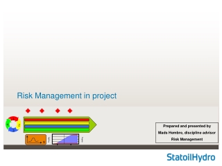 Risk Management in project