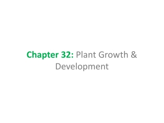 Chapter 32:  Plant Growth &amp; Development