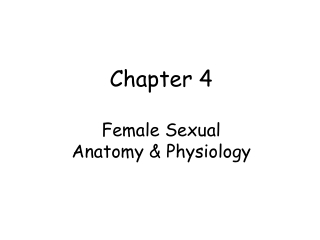 Chapter 4 Female Sexual    Anatomy &amp; Physiology