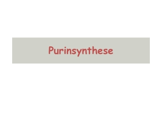 Purinsynthese