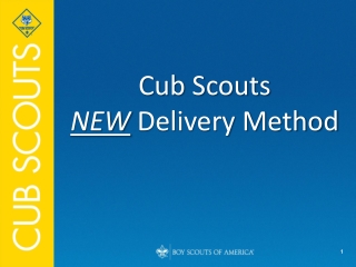 Cub Scouts  NEW  Delivery Method