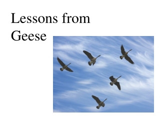 Lessons from Geese