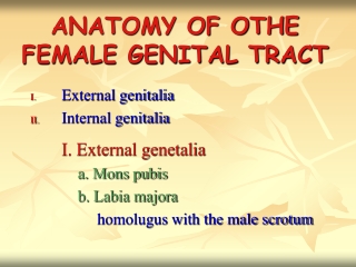 ANATOMY OF OTHE FEMALE GENITAL TRACT