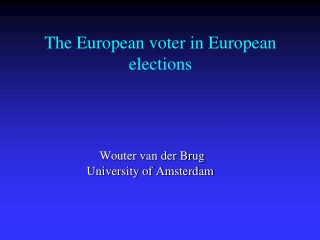 The European voter in European elections