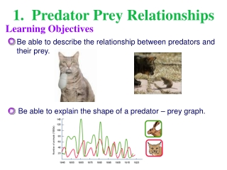 1.  Predator Prey Relationships