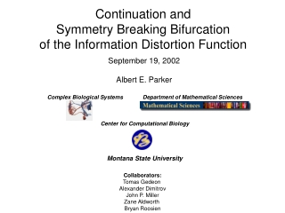 Continuation and Symmetry Breaking Bifurcation of the Information Distortion Function