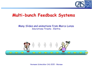 Multi-bunch Feedback Systems