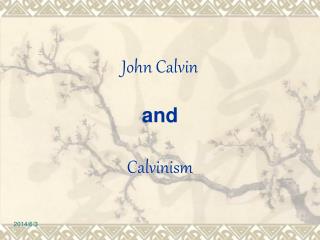 John Calvin and Calvinism