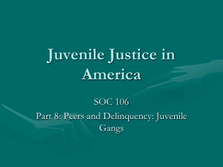 Juvenile Justice in America