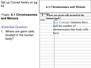 Set up Cornell Notes on pg. 63 Topic:  6.1 Chromosomes and Meiosis Essential Question :