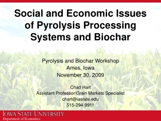 Social and Economic Issues of Pyrolysis Processing Systems and Biochar