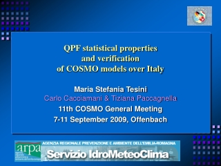 QPF statistical properties  and verification  of COSMO models over Italy