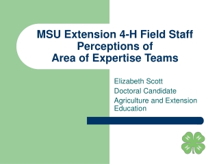 MSU Extension 4-H Field Staff Perceptions of  Area of Expertise Teams