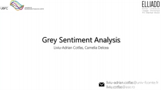 Grey Sentiment Analysis