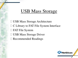 USB Mass Storage