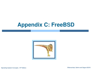 Appendix C: FreeBSD