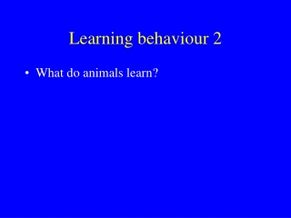 Learning behaviour 2