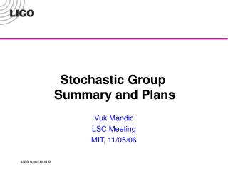 Stochastic Group  Summary and Plans
