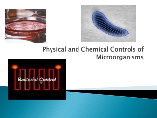 Physical and Chemical Controls of Microorganisms