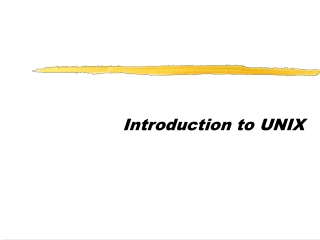 Introduction to UNIX