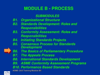 MODULE B - PROCESS