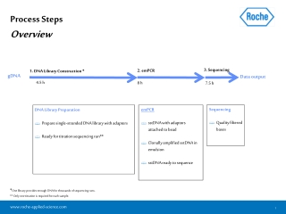 Process Steps Overview