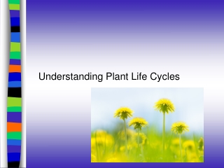 Understanding Plant Life Cycles