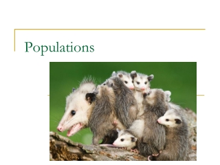 Populations